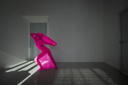Yiwen Photography