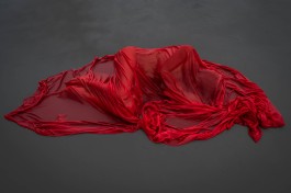Yiwen Photography